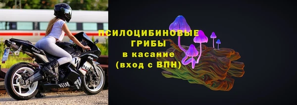 молекула духа Дмитров