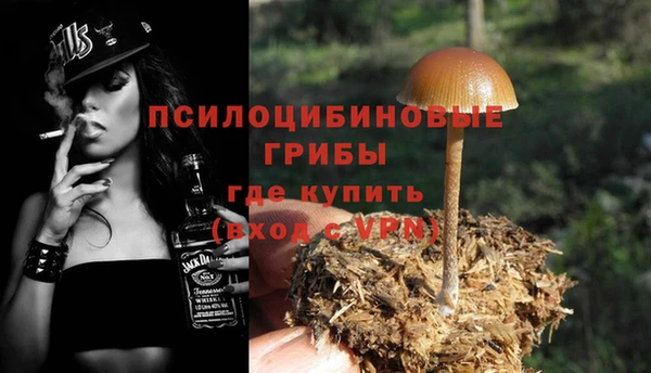 прущий лед Алексеевка