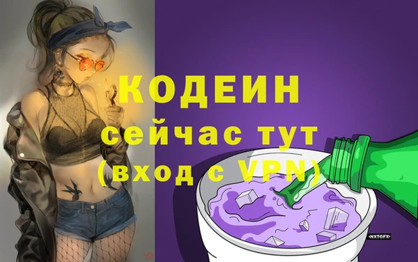 дурь Алзамай