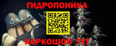 спиды Обь