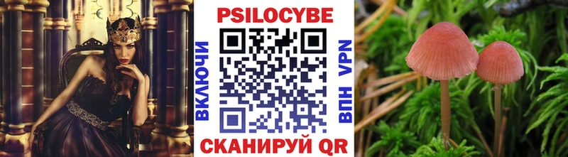 Псилоцибиновые грибы Psilocybe  Ставрополь 
