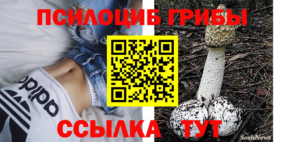 Ставрополь  Галлюциногенные грибы Psilocybe  сколько стоит  Псилоцибиновые грибы ЛСД  Вход с VPN 