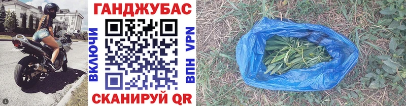 Бошки марихуана VHQ  где продают наркотики  mega ССЫЛКА  Ставрополь 